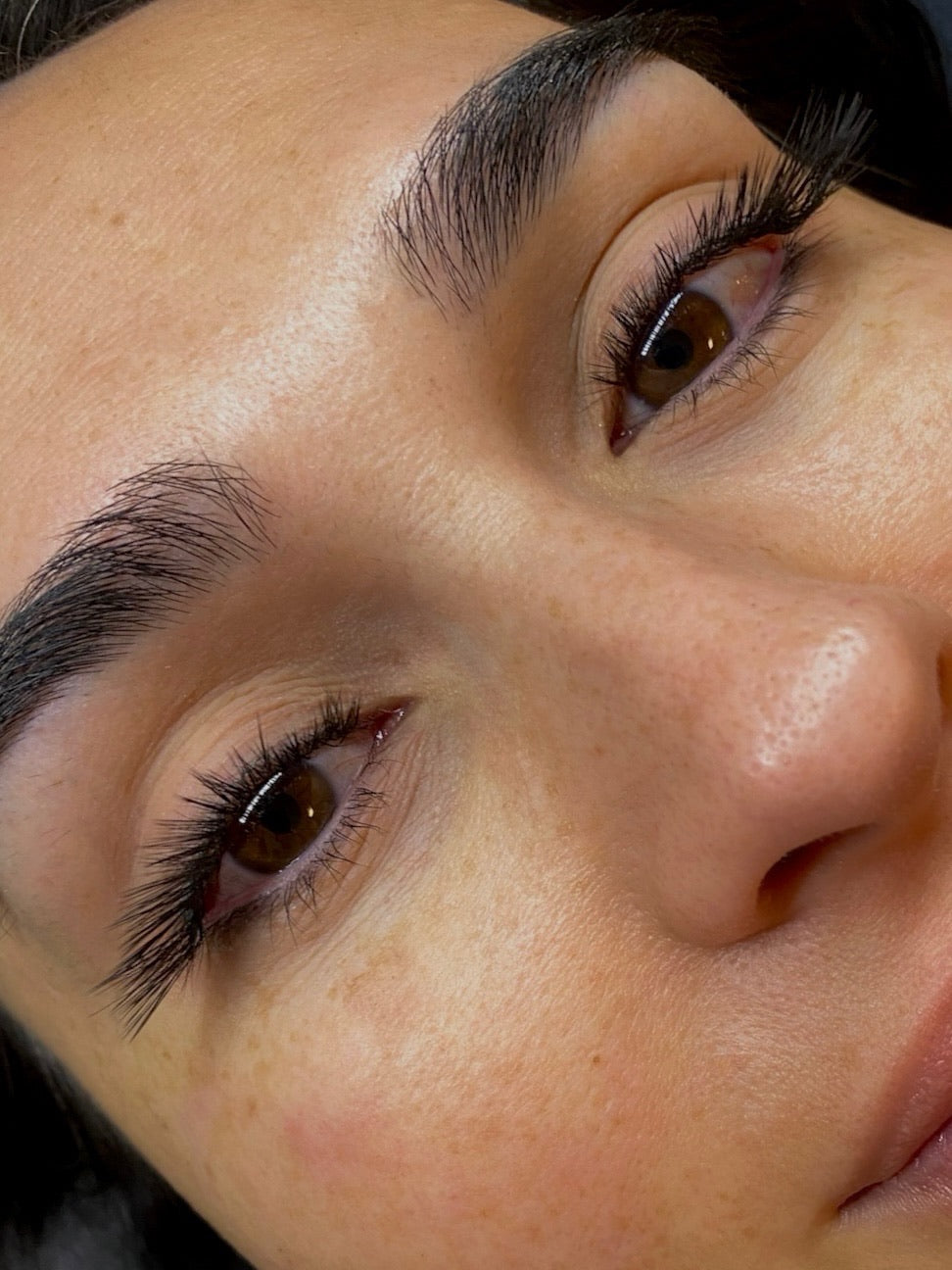 The Lash
