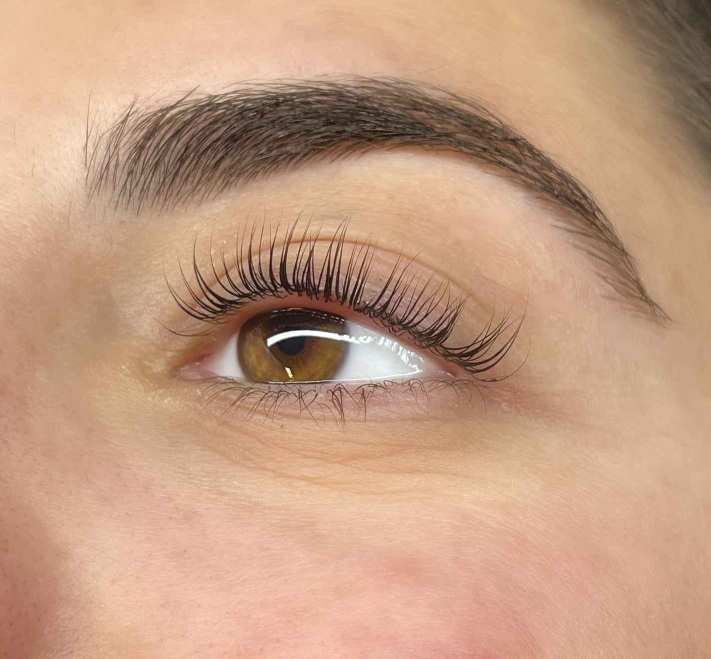 The Lash Den Los Angeles: eyelash extensions, lash lifting, brow lamination, and training and education for lash artists, estheticians, and cosmetologists 